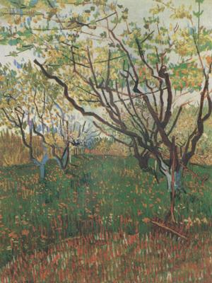 Vincent Van Gogh Orchard in Blosson (nn04) Sweden oil painting art